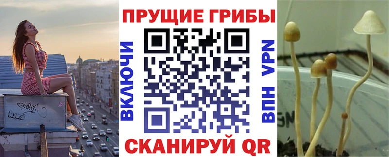 цены наркотик  кракен вход  Псилоцибиновые грибы MAGIC MUSHROOMS  Кропоткин 